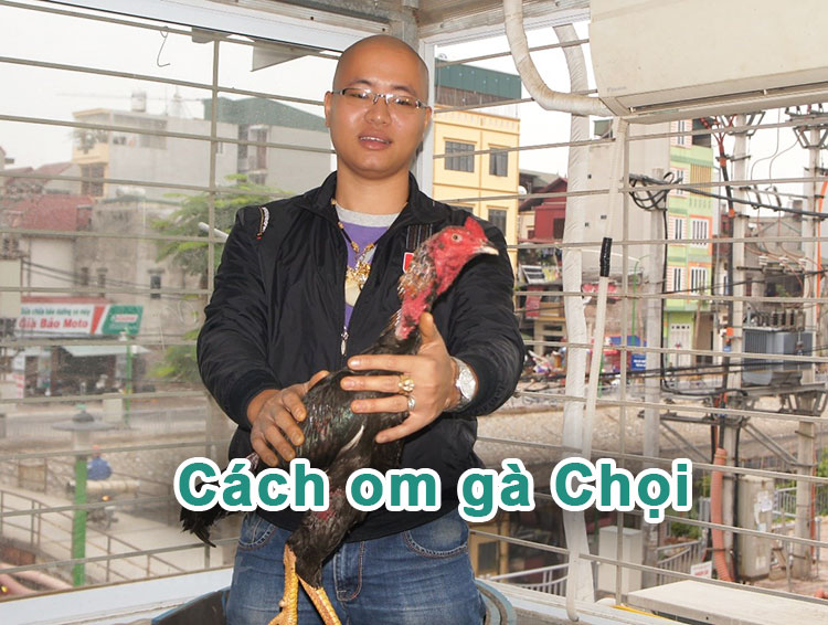 Chia sẻ cách om gà Chọi đẹp chuẩn hiệu quả nhất