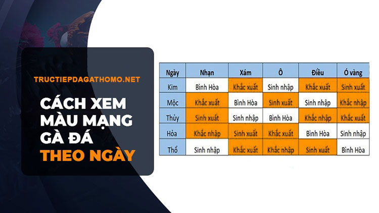 Xem màu mạng gà đá theo ngày âm